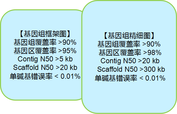 图片17